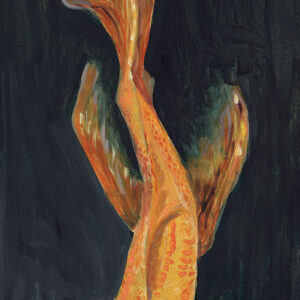 Koi